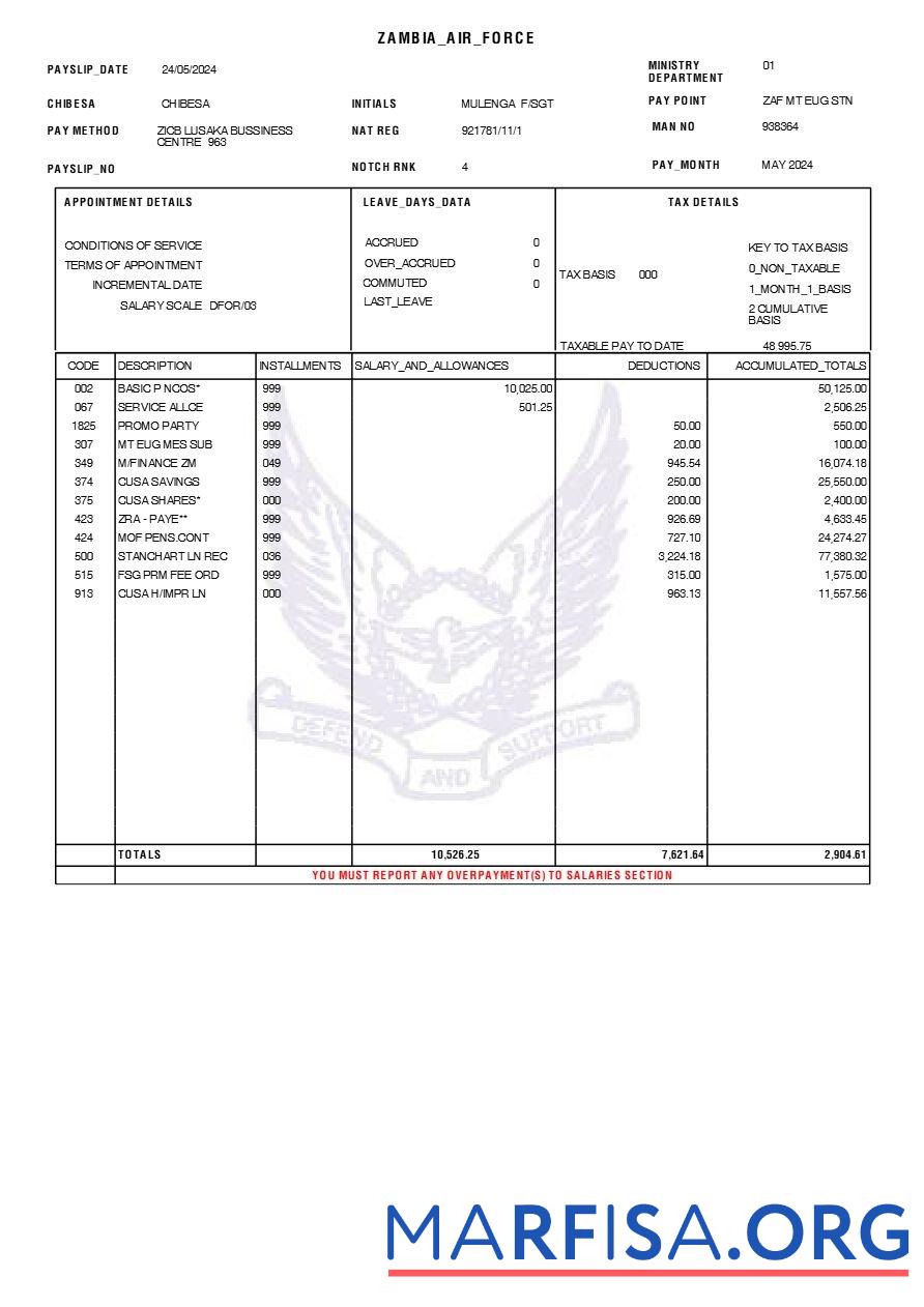 Printable Zambian Air Force payslip example